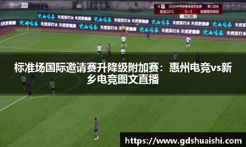 标准场国际邀请赛升降级附加赛：惠州电竞vs新乡电竞图文直播